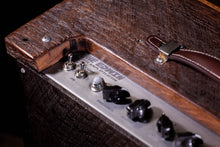 Load image into Gallery viewer, &quot;The Edwin” Deluxe Amplification Modified 5F6-A Bassman Clone Barnwood
