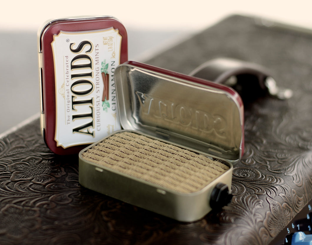 Portable Mint Tin Amp and Speaker for Electric Guitar- Altoids Burgundy/Tweed handmade gifts for musicians